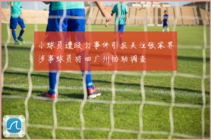 小球员遭殴打事件引发关注张家界涉事球员将回广州协助调查