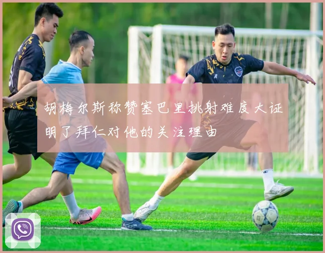 胡梅尔斯称赞塞巴里挑射难度大证明了拜仁对他的关注理由